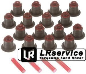 Маслосъемные колпачки к-кт TD4 M47