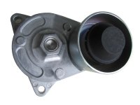 Ролик-натяжитель приводного ремня 3.6D RRN/RRS