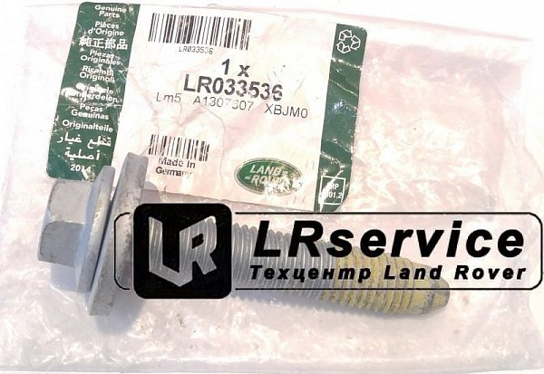 LR033536