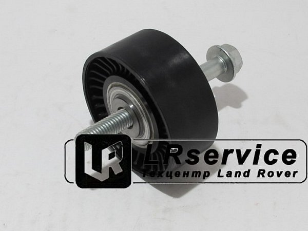 LR025988