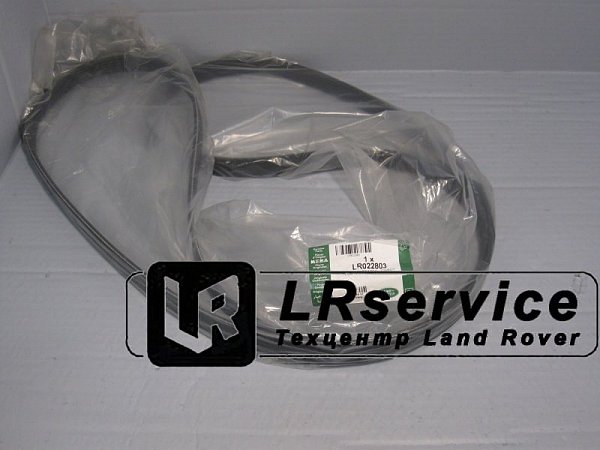 LR022803