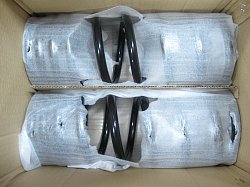 Пружина подвески задняя D2 RKB101100_BRI