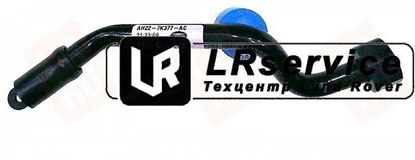 LR078964